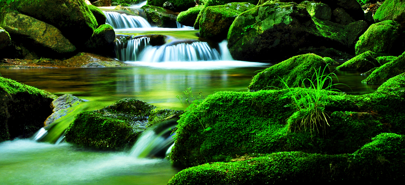 dbc55390405e4a11a11ff485d3a5cb4c.png