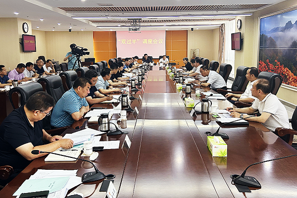 我市召开“双过半”调度会议