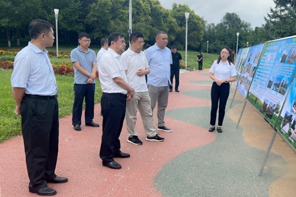 吴世民专题调研指导民生实事项目建设情况