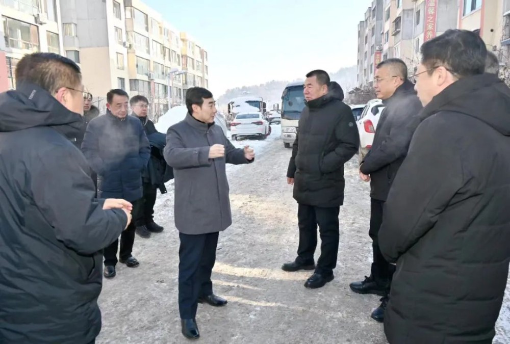 吴澜调研督导产业项目建设和民生工作