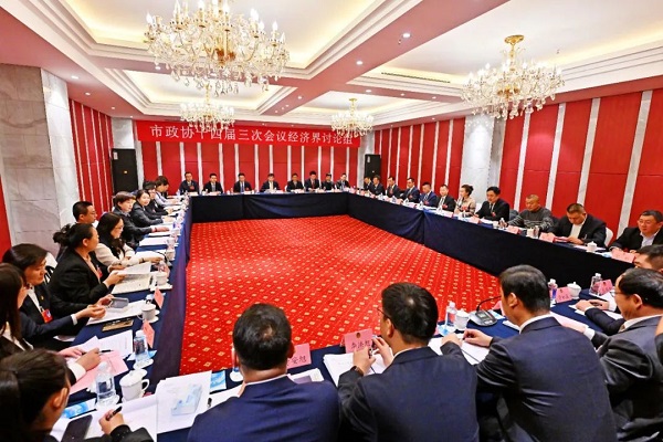 吴澜深入政协经济界讨论组参加讨论