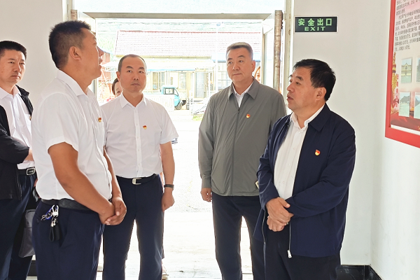 吴世民到桓仁满族自治县调研指导重点工作并开展巡河