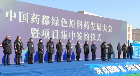 中国药都绿色原料药发展大会暨项目集中签约仪式在高新区举行