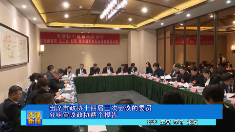 出席市政协十四届三次会议的委员分组审议政协两个报告