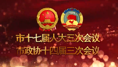 市十七届人大三次会议举行第二次全体会议