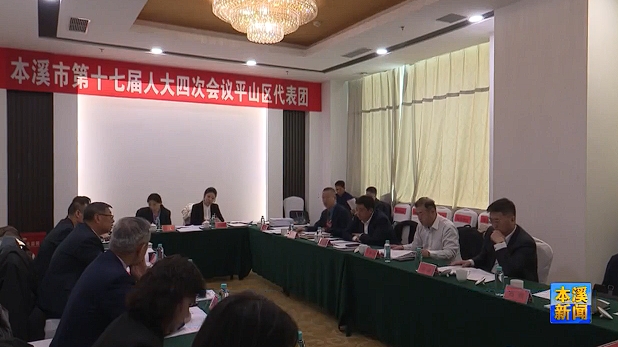 人大代表分组审议政府工作报告、审查计划报告和预算报告