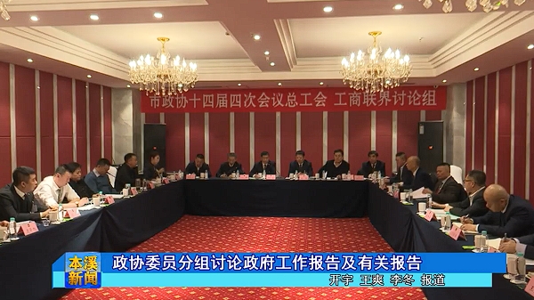 政协委员分组讨论政府工作报告及有关报告
